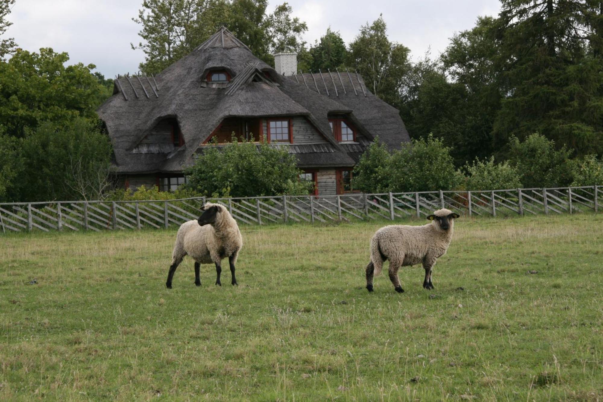 Toomalouka Tourist Farm 호텔 외부 사진